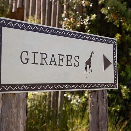 Les Hauts De Beauval Saint-Aignan  Kültér fotó